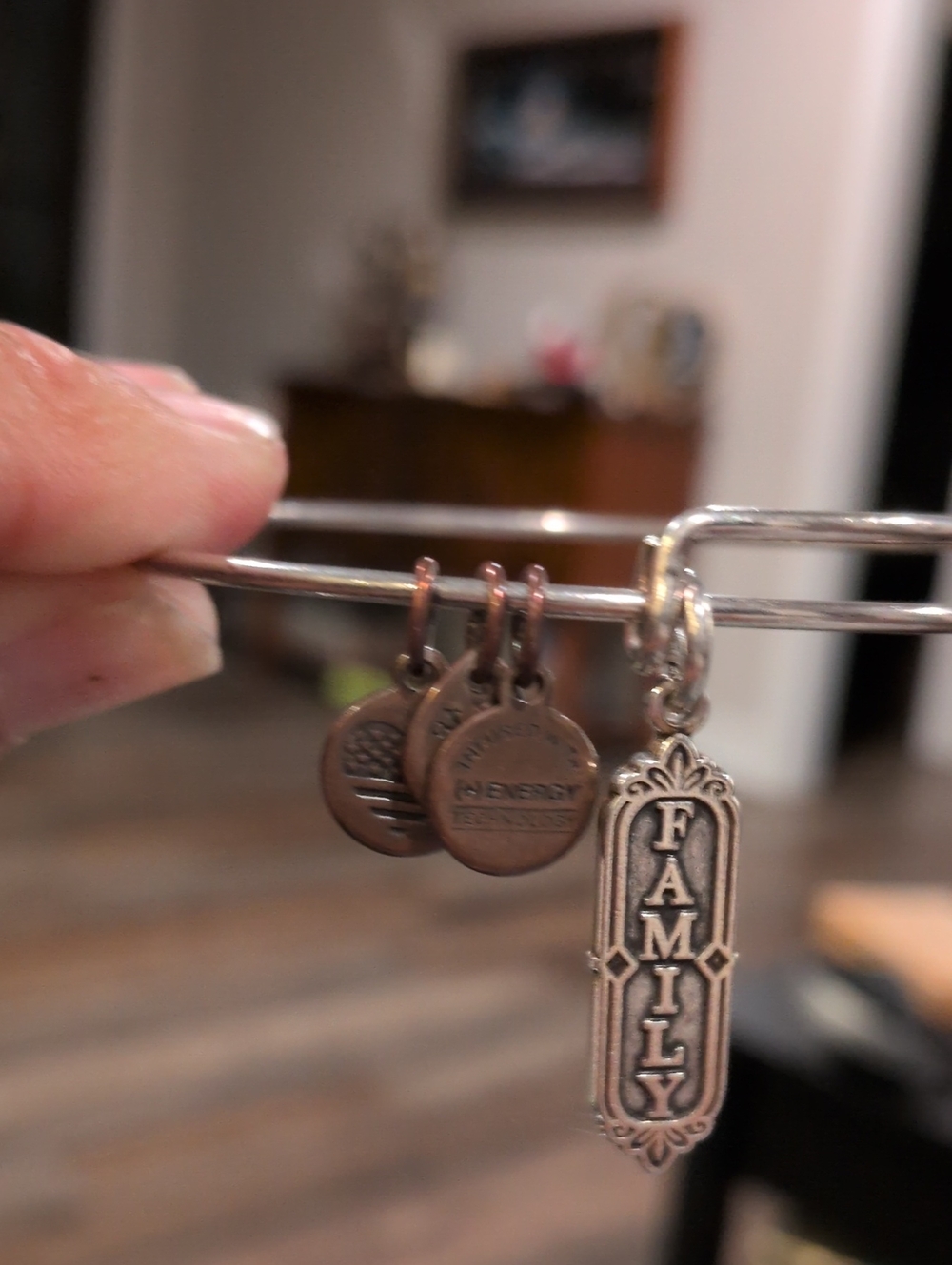 Alex and Ani Silver Tone 'FAMILY' Charm Bangle Bracelet